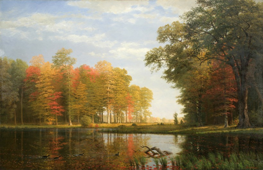 Albert Bierstadt (1830-1902). Autumn Woods, 1886. Oil on linen, 54 x 84 in. Collection of the New-York Historical Society, Gift of Mrs. Albert Bierstadt.