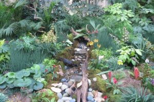 Read more about the article Longwood vying for best U.S. botanical garden
