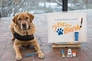 Read more about the article Canine Partners celebrate The Art of the Bark