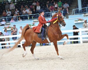 The Devon Horse Show attracts the top equestrian talent around the world. Photo by Bob Mossier