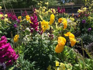 A diverse floral arrangement attracts guests near the outdoor children's garden at Longwood.