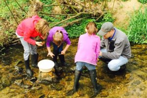 Read more about the article Scouting out water education at Stroud
