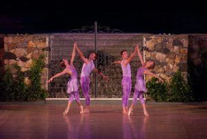 The Brandywine Ballet will perform at the Rose Tree Media Park on July 29.