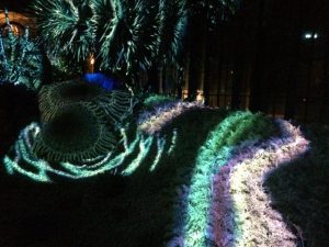 'Nightscape: A will return to Longwood on Wednesday, Aug. 3.
