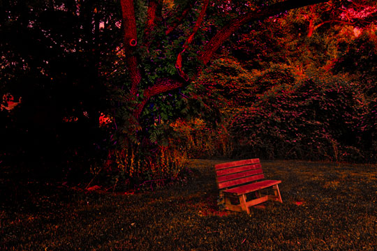You are currently viewing Photo of the Week: The Bench