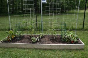 Community gardens are among the offerings at Anson B. Nixon Park.