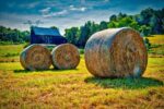 _1JF8430_HDR_edit