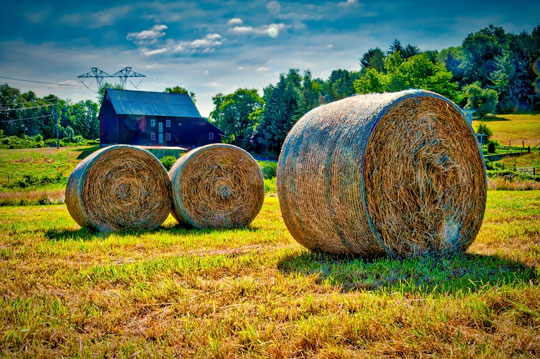 You are currently viewing Photo of the Week: Bale-ing Out