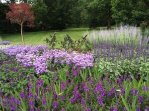 These summer flowers at Longwood Gardens respond well to the heat, as long as they get plenty of water.