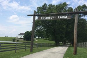 Read more about the article Toll Brothers making plans for Crebilly Farm