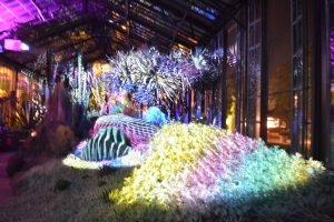 The Silver Garden features a pulsing kaleidoscope of lights.