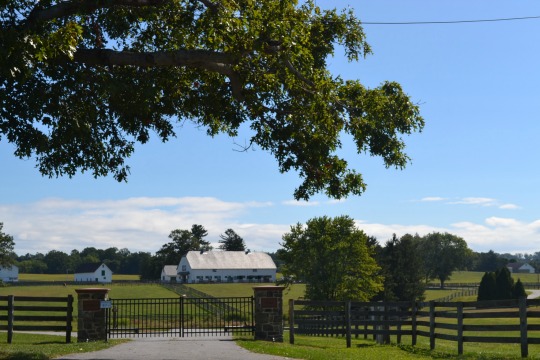 Read more about the article Hopes fading to save historic Crebilly Farm