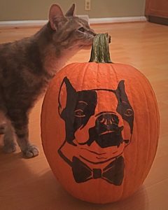 Paws Painted Pumpkin