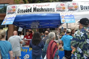 Read more about the article Festival mushrooms into massive success