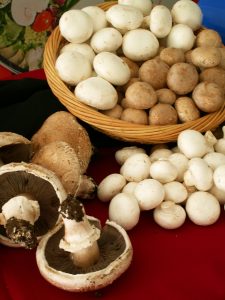 Mushrooms of all types and sizes will be on display in Kennett Square this weekend.