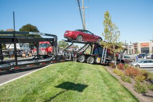 Read more about the article Car carrier runs off road