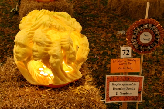 Read more about the article Pumpkin Carve produces champion slashers