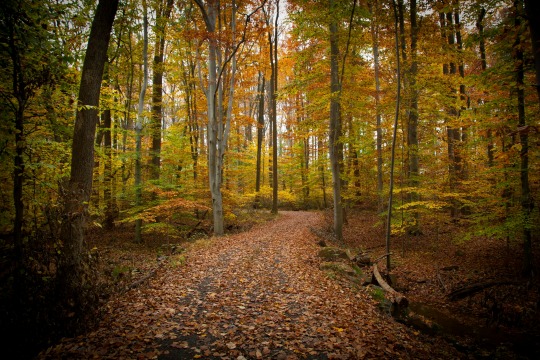 You are currently viewing Trust’s effort to save 1,505-acre farm advances