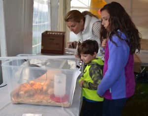 Erica Burns (from left) of East Marlborough Township admires the newly hatched chicks with her son Cooper, 5, and daughter, Ava, 11.