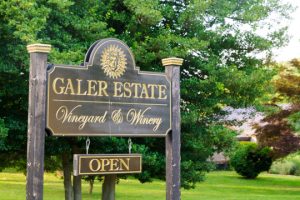 Galer Sign