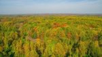 Beautiful fall day in Chadds Ford taken by Chadds Ford Live reader John DeSimone's drone