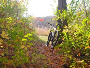 Woolly Trail w mtb