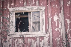 Read more about the article Photo of the Week: Empty Window