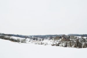 Stroud Preserve (Courtesy Mae Axelrod)