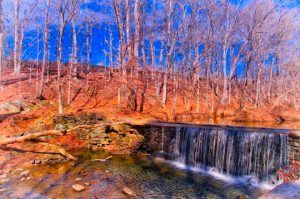 Read more about the article Photo of the Week: February Falls
