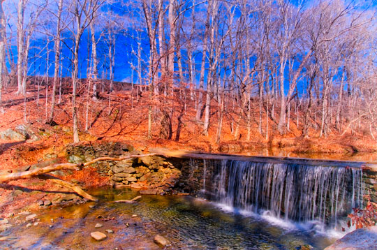 You are currently viewing Photo of the Week: February Falls