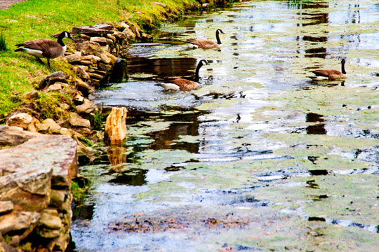 Read more about the article Photo of the Week: Chilly Spring Dip