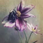 Kathleen Magner Rios photograph