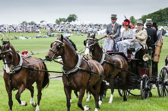 You are currently viewing Point-To-Point to honor Weymouth with carriage parade