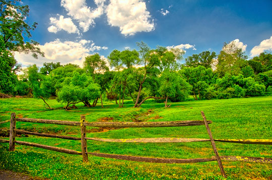 You are currently viewing Photo of the Week: A Day in the Country