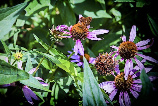 Read more about the article Photo of the Week: Rest Stop