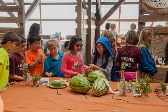 You are currently viewing Unionville Fair underway