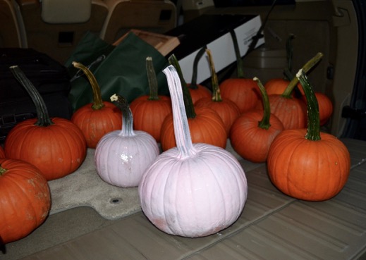 Read more about the article Wyeth adds pop of pink to Halloween display