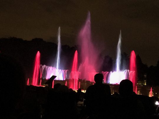 You are currently viewing Longwood Gardens sets record attendance