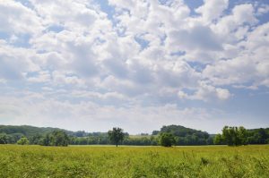 Read more about the article Natural Lands adds acres to ChesLen