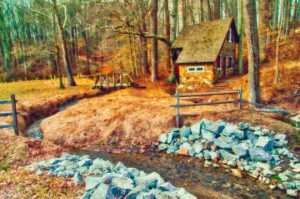 Read more about the article Photo of the Week: The Old Mill’s Stream