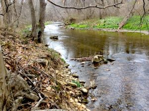 Read more about the article Land Conservancy secures 200 more acres