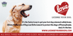 License your dog