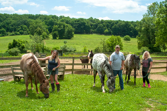 You are currently viewing Rescued horses healing at Thornbury Farm