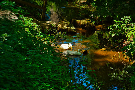 Read more about the article Photo of the Week: Beating the Heat