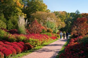 Read more about the article Autumn’s Colors begin at Longwood Gardens