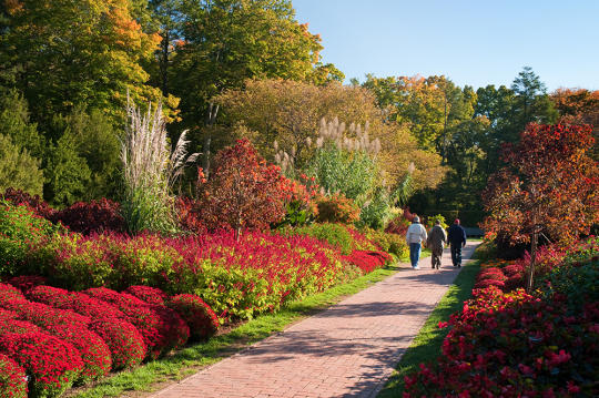 You are currently viewing Autumn’s Colors begin at Longwood Gardens