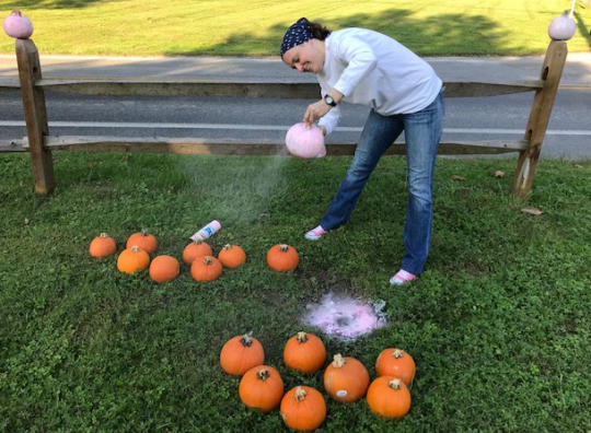 Read more about the article Wyeth working to promote pink-pumpkin trend