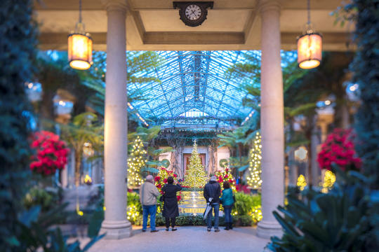 Read more about the article ‘A Longwood Christmas’ opens Thanksgiving day