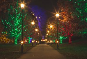 Read more about the article Best holiday lights