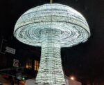KSmushroomCrop